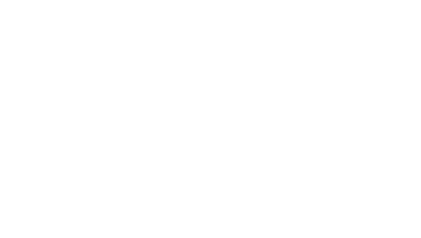 Entwurf Schwoche